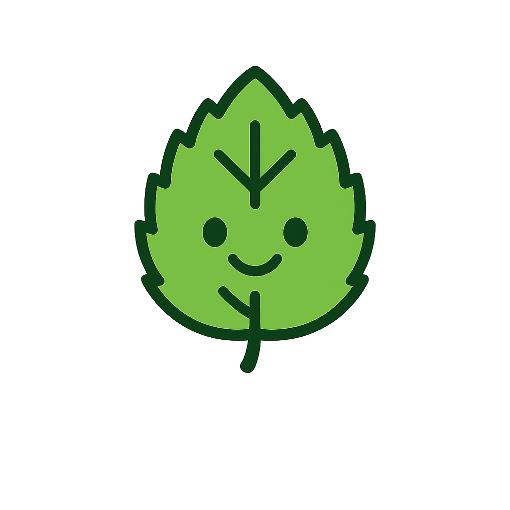 Misting a fiddle leaf fig plant with a spray bottle